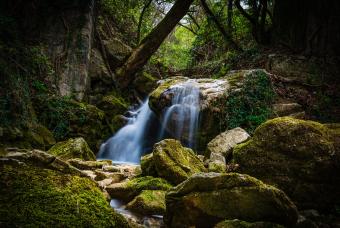 Kreta_Tango_2025