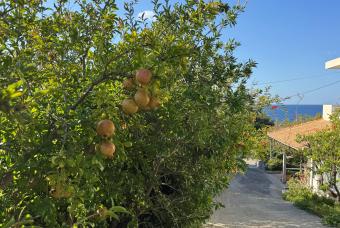 Kreta 21
