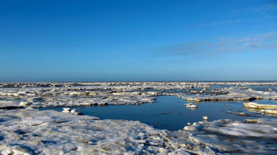 tango auf der winterinsel