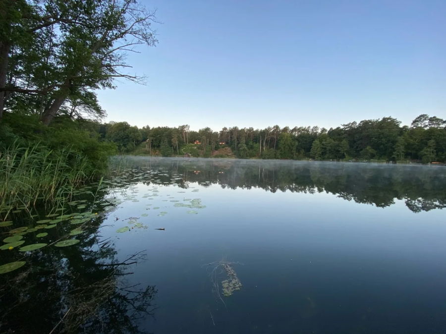 Seenebel_Üdersee_Tangoreise
