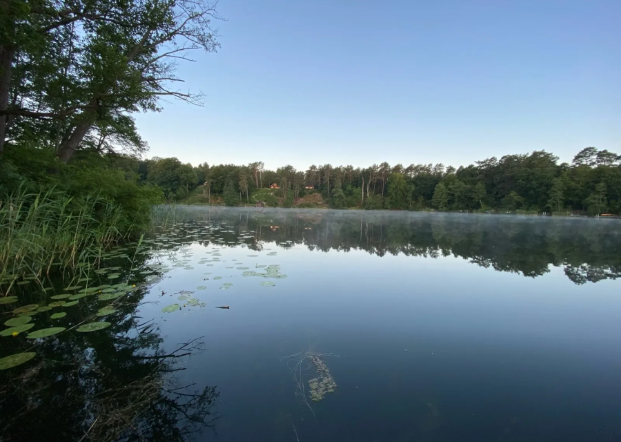 Seenebel_Üdersee_Tangoreise